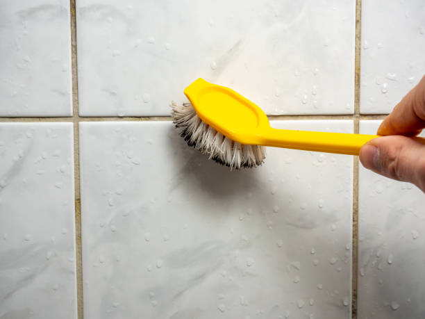 Best Toxic Mold Removal  in Kohler, WI