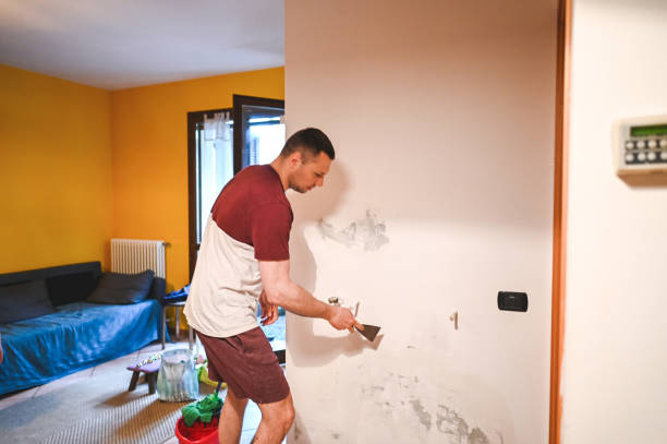 Best Black Mold Removal  in Kohler, WI