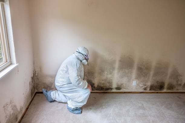 Best Mold Testing  in Kohler, WI